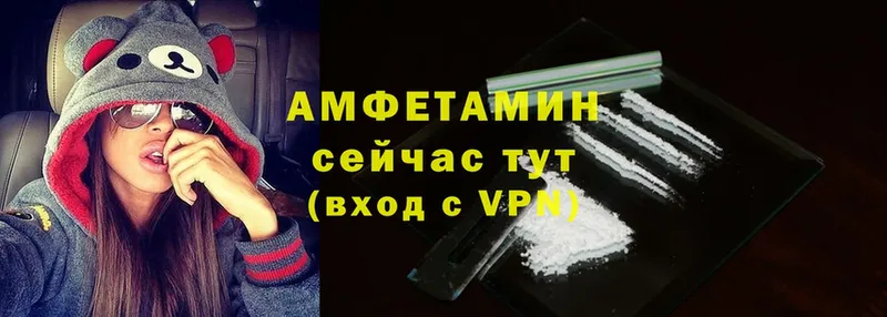 Amphetamine Premium  цены   Курчатов 